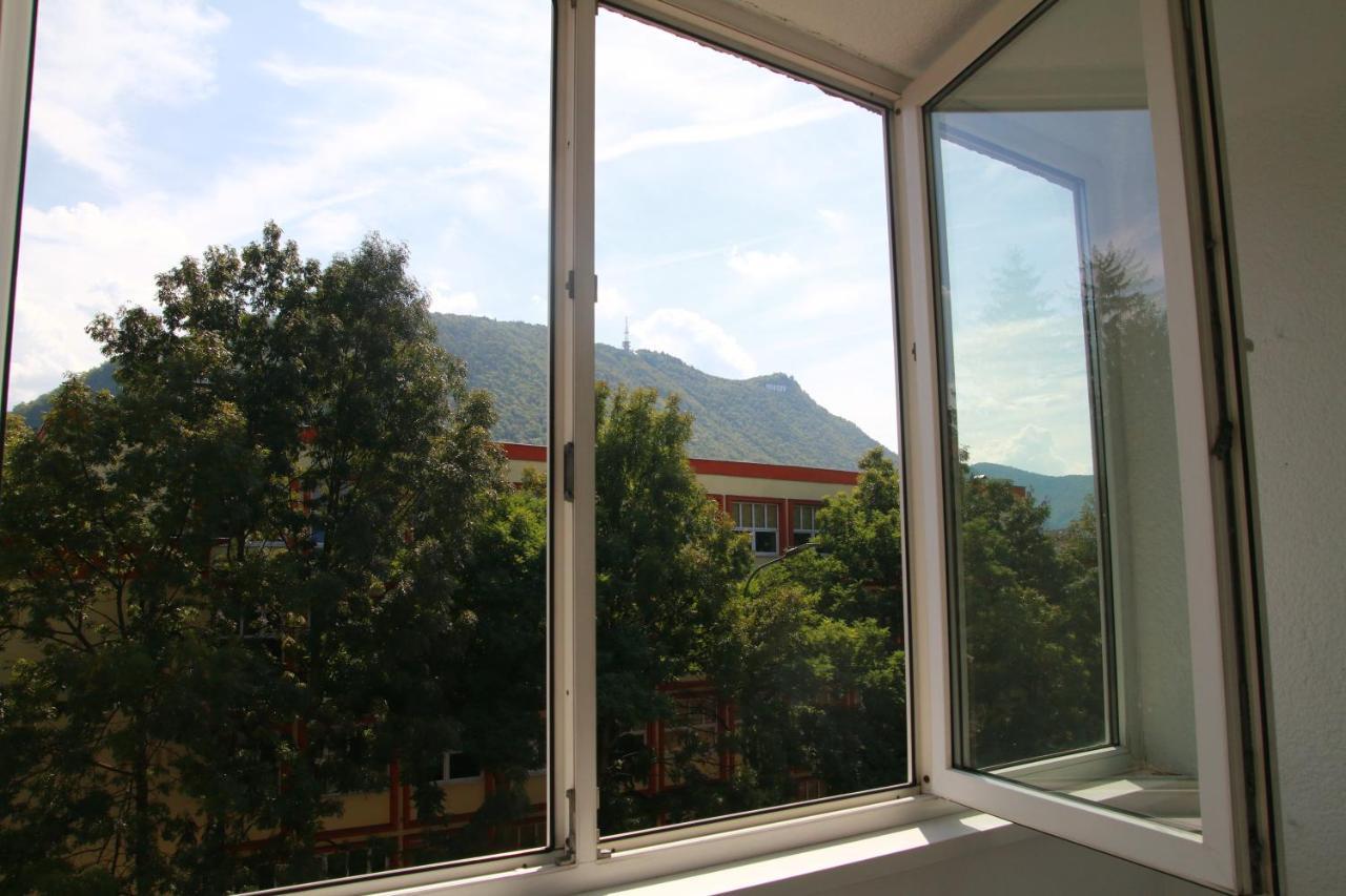 Panoramic View Cosy - Brasov, Transylvania *